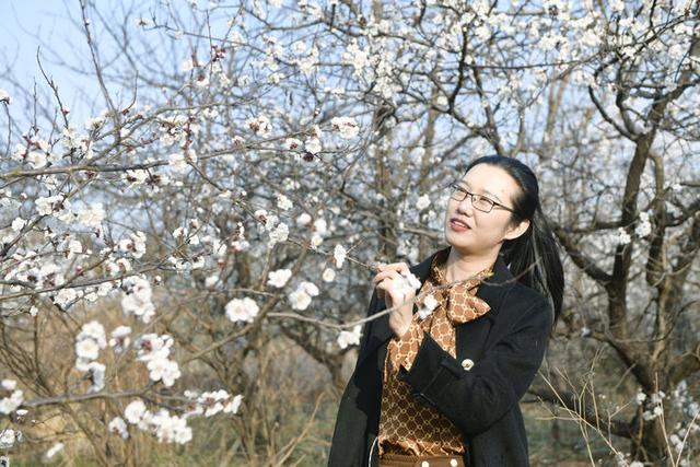 苍马山红杏枝头春意闹