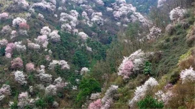 百色单螺旋洗砂分级机报价