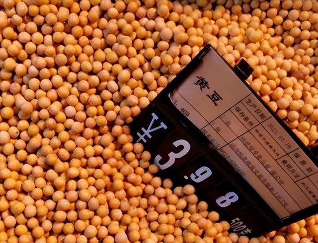 突发！印度禁止小麦出口，中国碗还能端稳吗？全球粮荒再加码