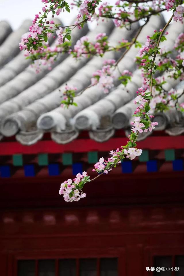 散文｜春日如歌，幸福如诗