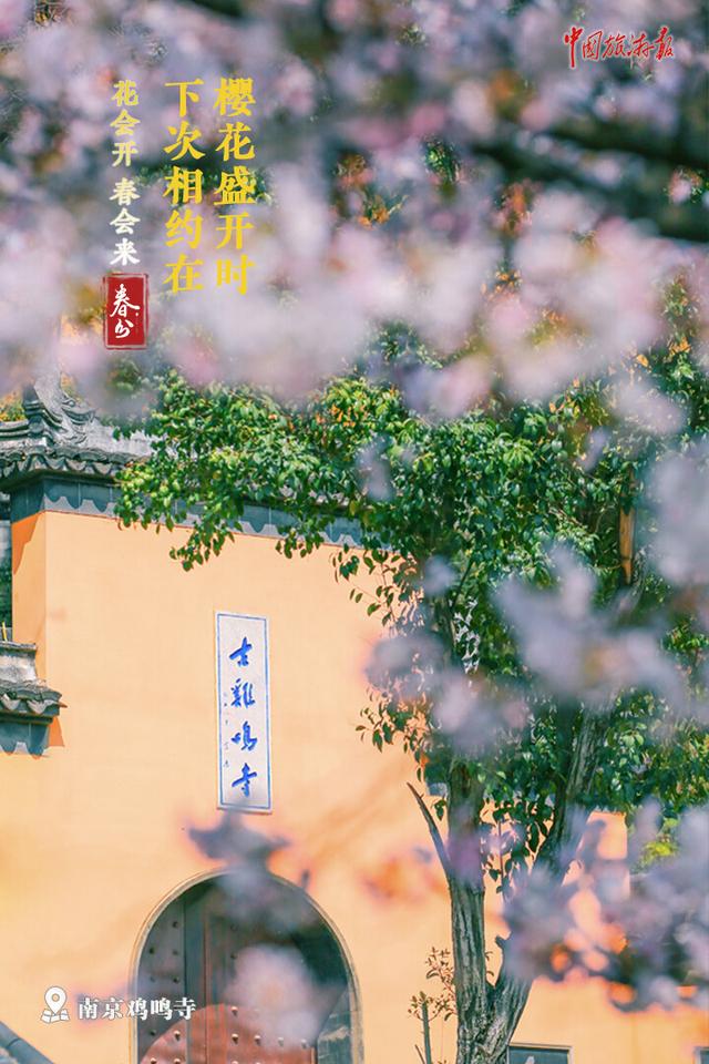 今日春分｜繁花如期盛开 春天定将到来