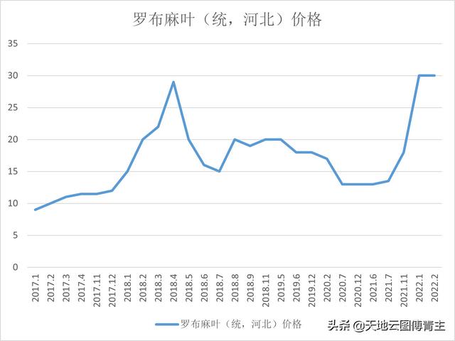 罗布麻茶价格