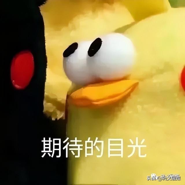 老年人如何开启智慧生活？巩义这番操作亮了