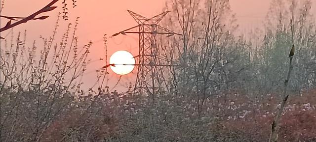 ‭菩提寺 文/李天宇