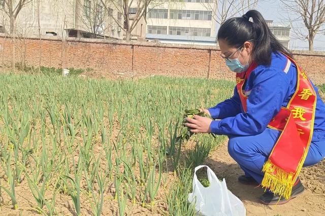 今日春分，带你体验石化版“向往的生活”