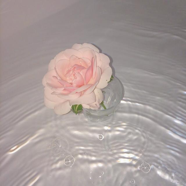 时间治愈的是愿意自渡之人，一个人也要活得有声有色