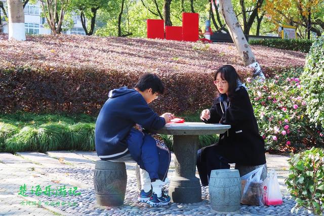 身爲5A景區卻堅持免費，秋色斑斓到處如畫，甯波這個景點讓人驚豔