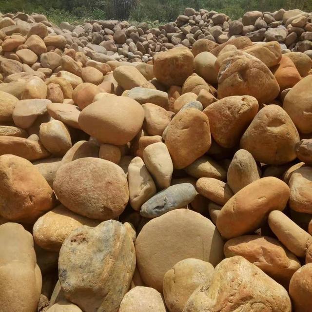 不可思议！科学家在太平洋中发现奇异的“黄砖路”，究竟怎么回事