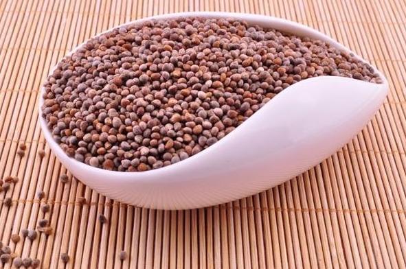 痰湿不祛，百病生？一剂三子养亲汤，一祛湿、二化痰、三健脾