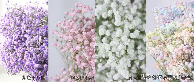 情人节花