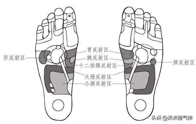 在后背主要穴位拔罐，让全身气血通畅。吃饭都香了