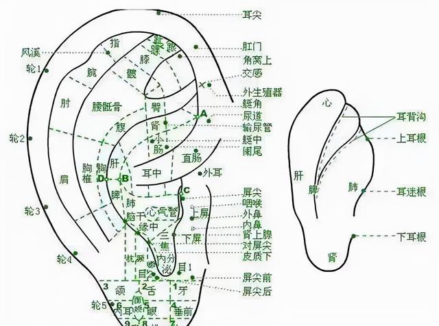 小儿高热的家庭处置方法