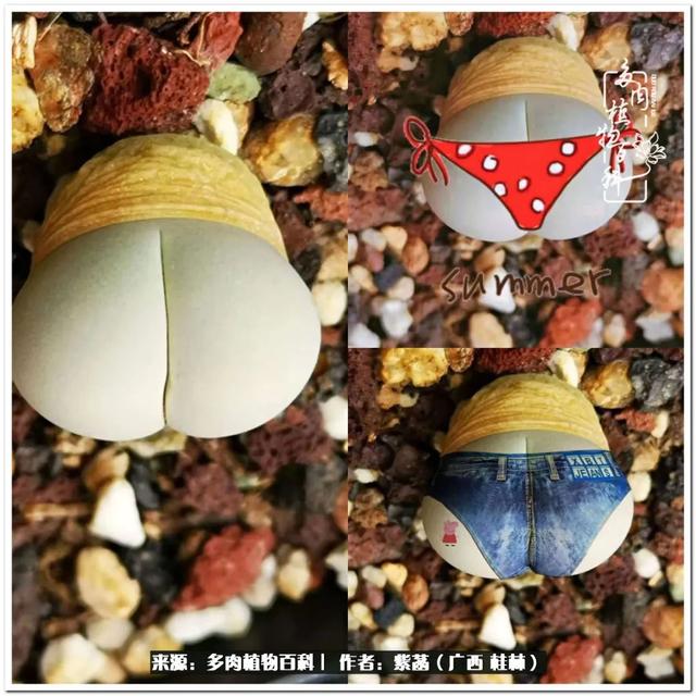 大型制砂机给力富贵机械