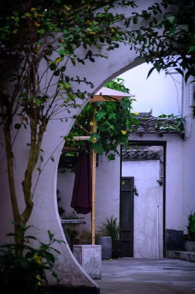 懂院子的人，一定懂生活