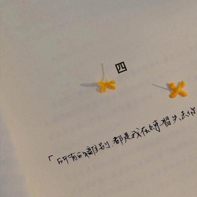 抖音很火的伤感句子，单身挺好，和谁暧昧都不需要解释