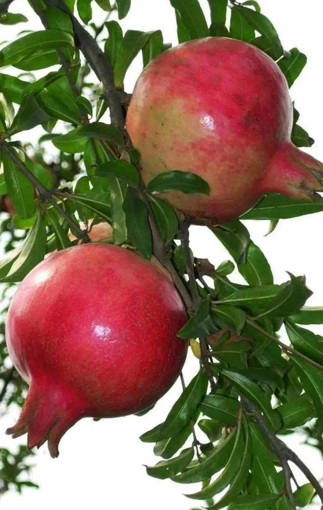 做人智慧：迷茫时读书，焦虑时运动