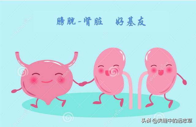 去皮核桃仁怎么做好吃 吃核桃有啥好