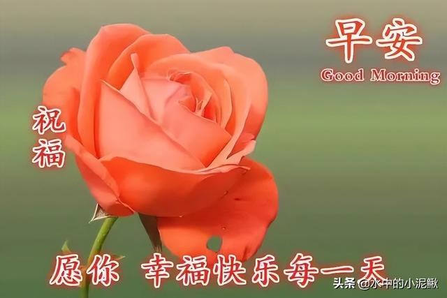 抖音最火的励志早安语录说说 越读越给力