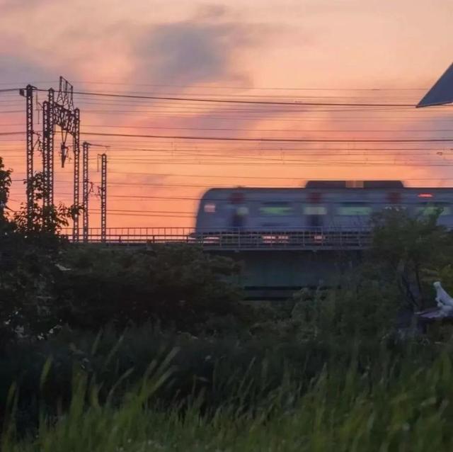 可以写进作文的文艺句子，一眼沦陷