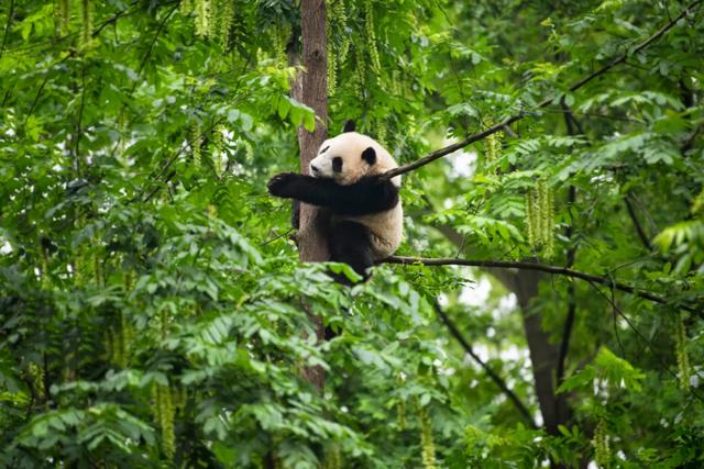 成都便宜旅馆