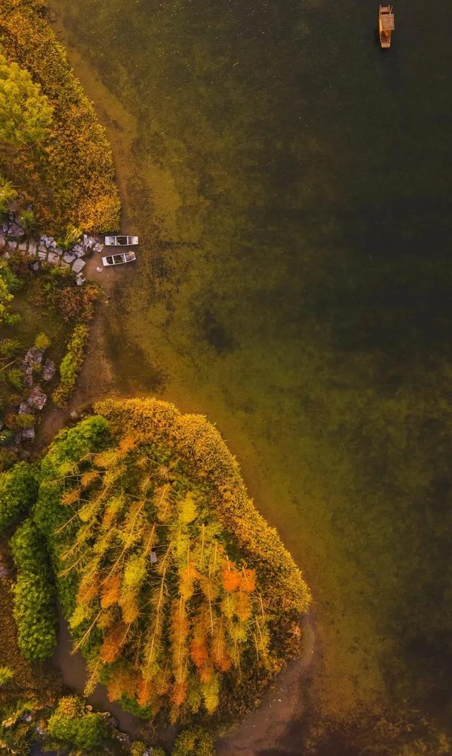 冬日，重慶美景圖鑒