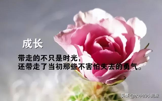 朋友圈早安唯美语录经典句子，最美早上好图片正能量励志