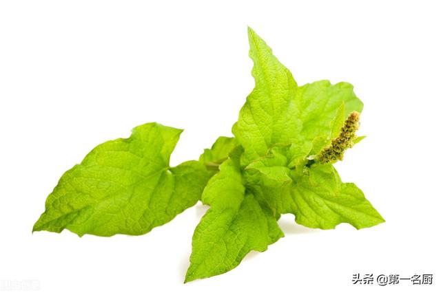 野菜有哪些 野菜有哪些（能吃的野菜有哪些） 生活