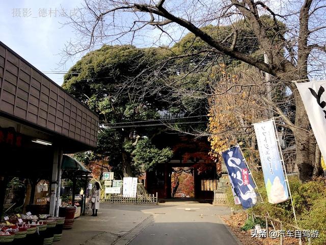 德村志成：落葉殘楓依然美麗，久違北小金本土寺