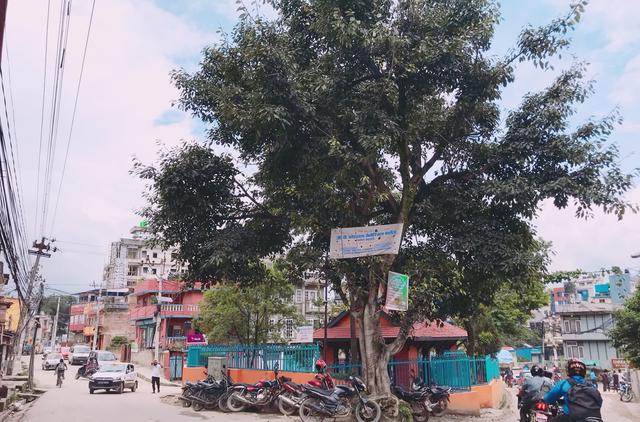 東南亞貧窮小國，把中國遊客當提款機，當地小孩見到就伸手要錢