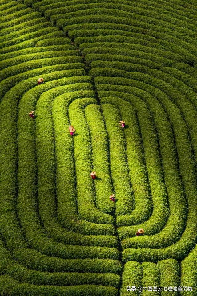 抚州洗砂机怎么选