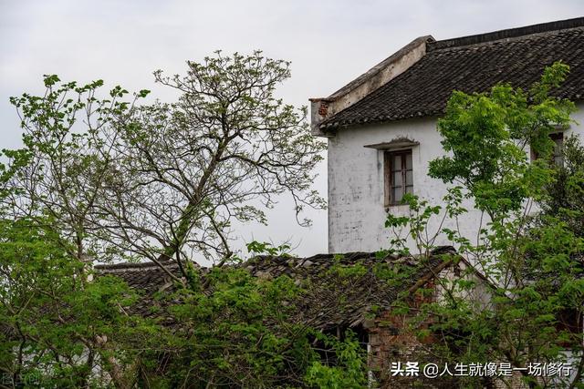 人们为什么总是喜欢怀旧？