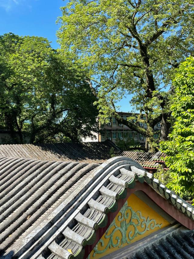 羞羞的铁拳沈腾头像（这里是羞羞的铁拳取景地）(13)