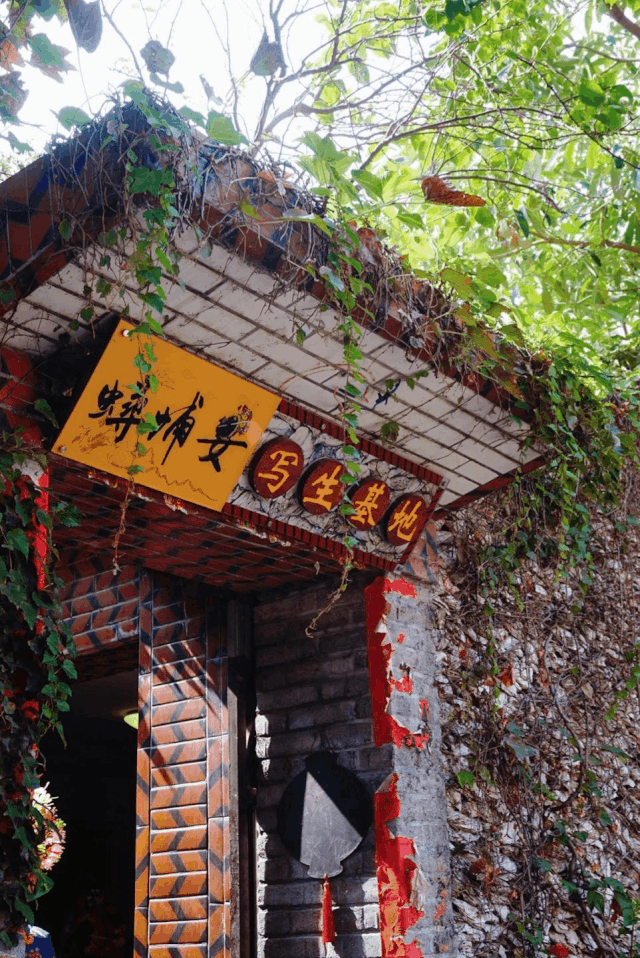 超美!又一神仙綜藝開播，跟著《早餐中國》團隊解鎖9個詩意旅行地