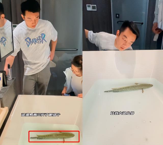 郑恺穿拖鞋河边钓鱼！不敢取鱼钩被吓到弹开，把鱼放浴缸养太随意