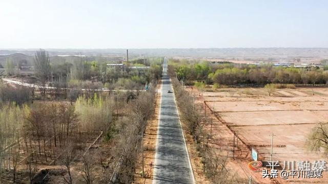 平川区：“国储林+绿色通道”厚植生态底色 扮靓城乡街景