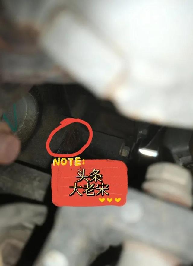 发动机号在车的哪个部位(车发动机号在哪儿看)