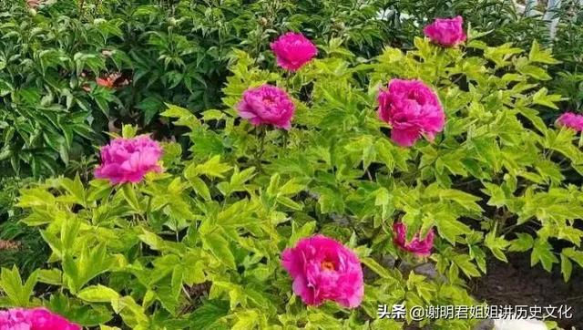 别浪费时间浪费生命 接纳自我 慢慢向好