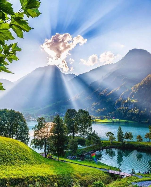 高清素材库(高清素材库无水印)-天晟网