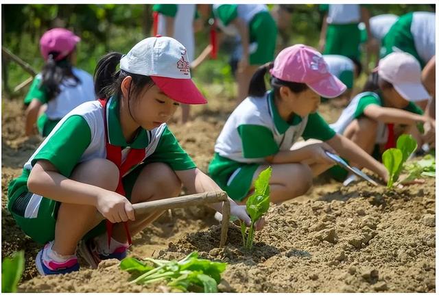 中小学迎来新课程，学生要学会“煮饭种菜养禽”等，9月开学实行