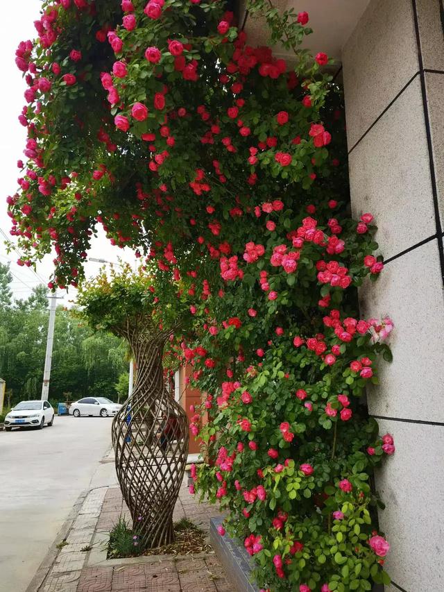 千万春花次第开