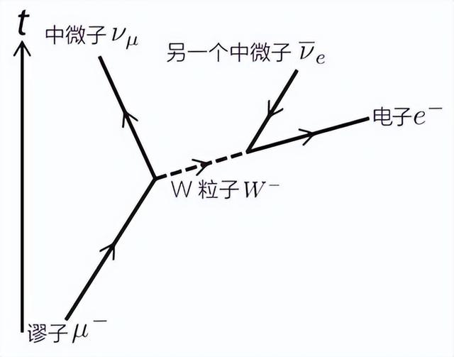 一文看懂《时间简史》之谁是宇宙中最长寿的