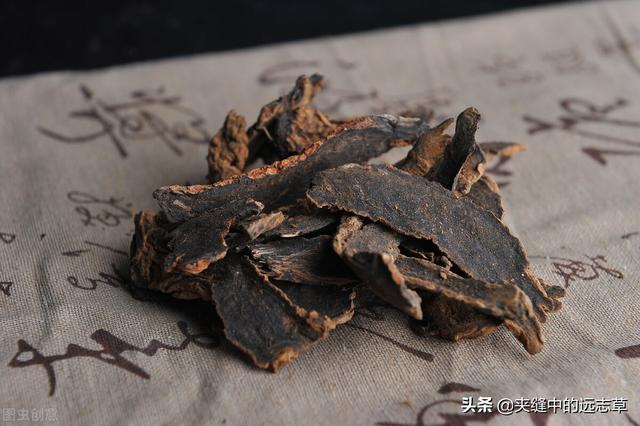 夏之将至，送你一味白花蛇舌草，解热毒、消疮痈、利小便