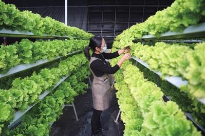 养鱼大型冲养过滤机的简单介绍