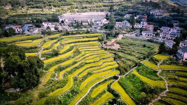 春天旅游推荐