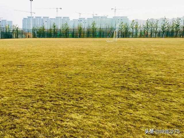 長沙唯一擁有戶外足球場的公園，更有大片水杉美景等你來