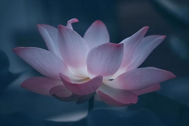 人生过半，才突然明白…（句句入心）