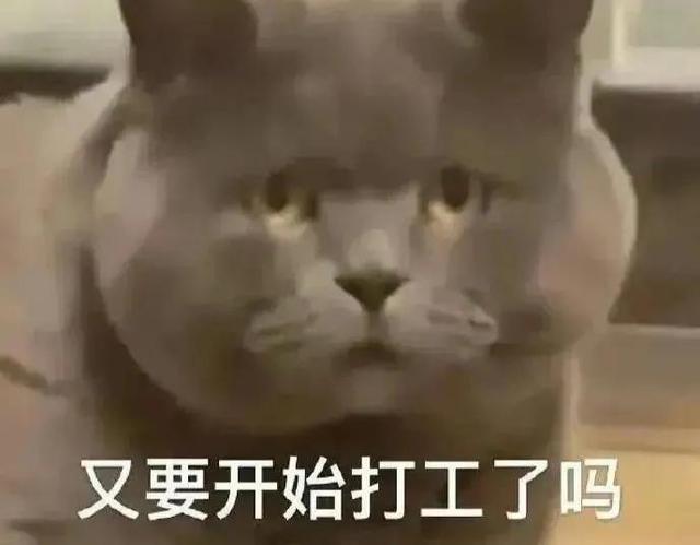 原创」小说《秦王贴身带刀护卫》第200集：熊熊烈火再燃起- 今日热点