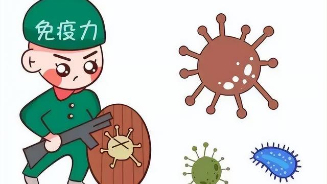 燕麦是“害人麦”，还是营养佳品？医生：常吃这两种，或有害健康