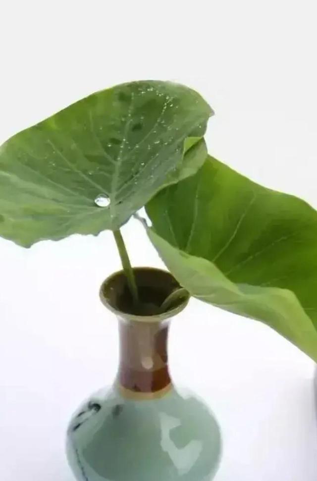 守住心底那份清静