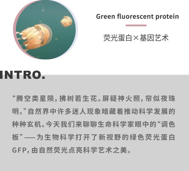 https://www.meipian.cn/56tns5ai
